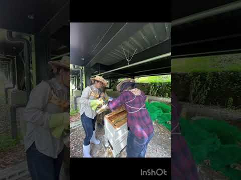 商学科 京都産業大学ショートムービー2