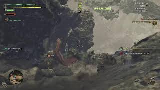 モンハンワイルズ初見プレイ　パート1