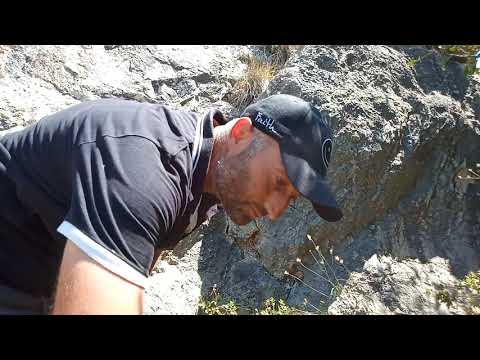 Kayadaki Define Kasasında Altın Paralar Çıktı !!!