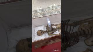 Download lagu Tengkorak Asli di Purworejo Art Center mp3