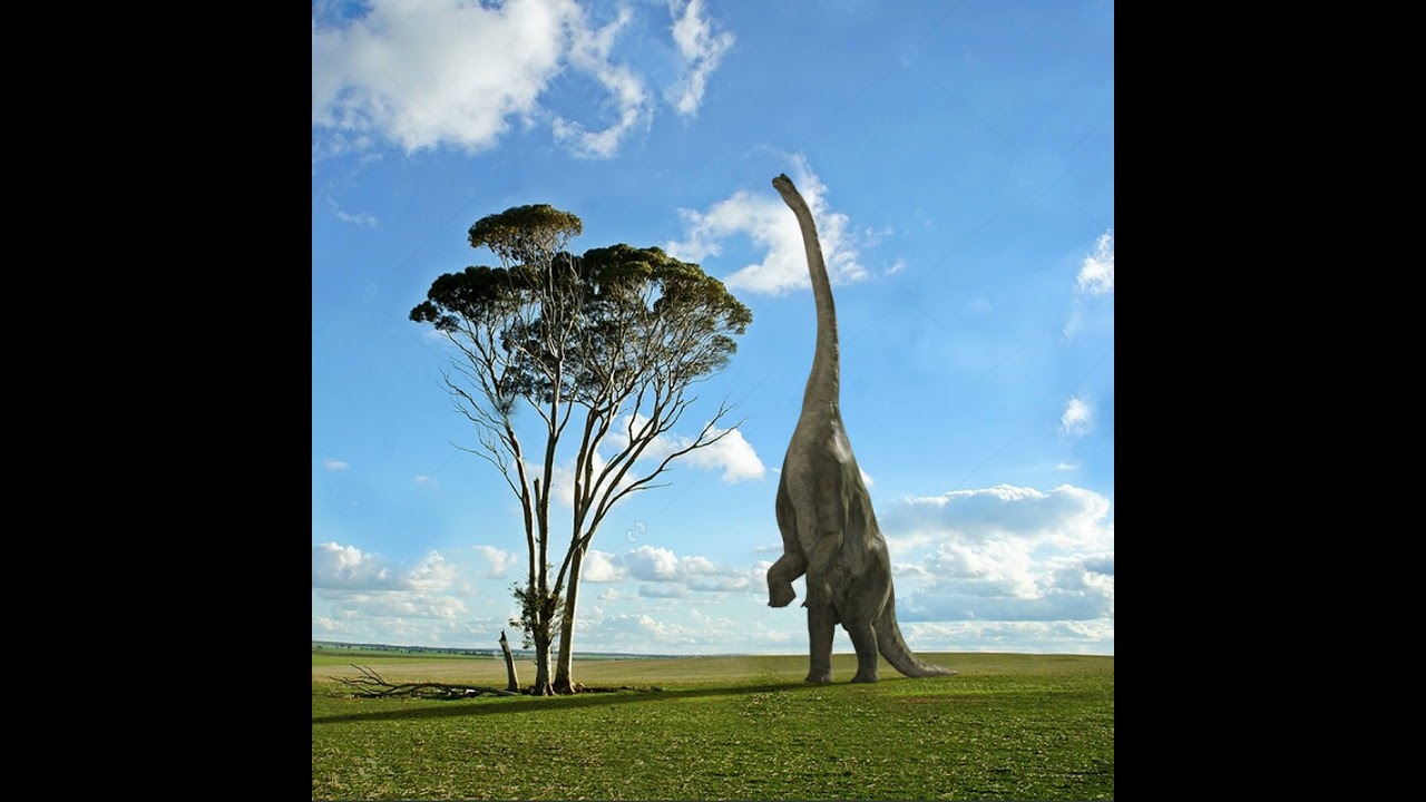 Colossal Dinosaur Pack 8K - totalmente animado Modelo 3D