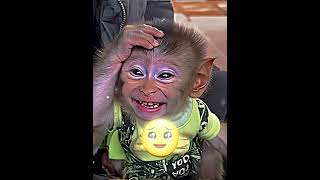 Download lagu so cute 🥹❤️_🩹❤️_🩹❤️_🩹 #emotional #help #helpingpeople #sad #edit #ghost #fyp mp3 Download lagu so cute 🥹❤️_🩹❤️_🩹❤️_🩹 #emotional #help #helpingpeople #sad #edit #ghost #fyp mp3