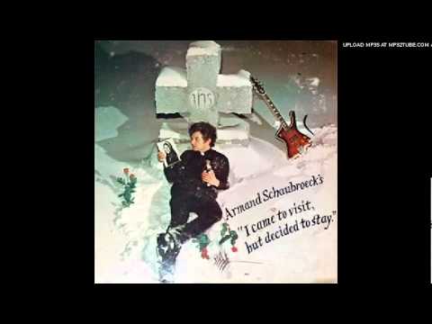 Armand Schaubroeck - I Came to Visit, But Decided to Stay