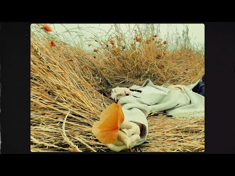 video frame placeholder