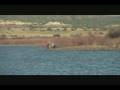 Lyman Lake Arizona Freedom Opportunities "Luis Villegas-Vamos",  Music