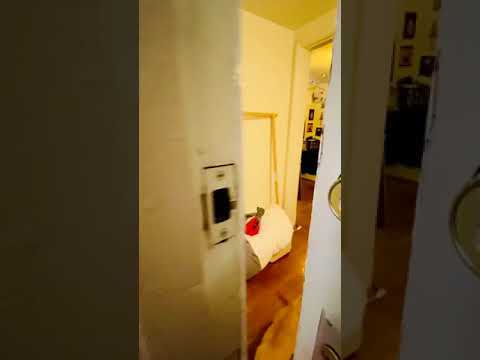 509 N. Mulberry Street - Video 2 of 2