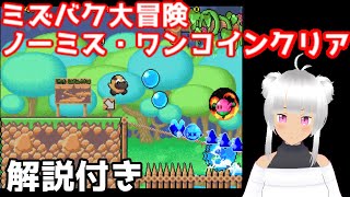 ミズバク大冒険  ノーミスクリア・ワンコインクリア！　『解説付き』（ミズバクアドベンチャー）