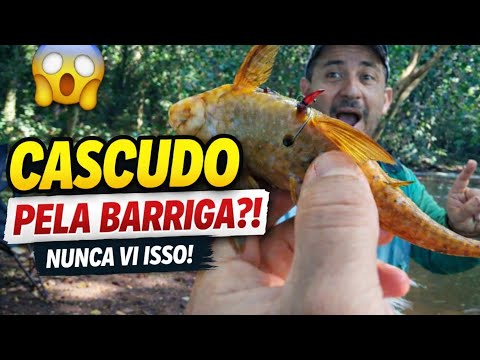 😱 PEGAMOS UM CASCUDO PELA BARRIGA! | Rio Iguaçuzinho