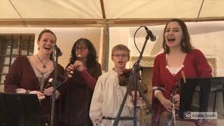 Video "Jak šel čas..." Keltská kapela Dé Domhnaigh při ZUŠ Dobřany