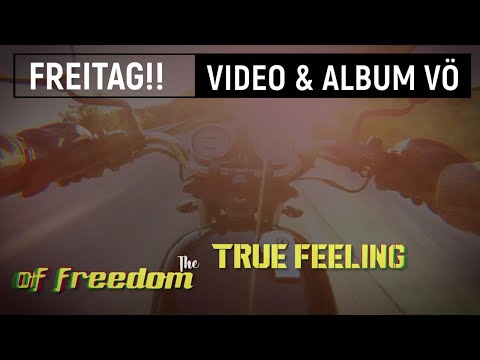 Brüder4Brothers - Video + Album VÖ am Freitag 07.08.2020 [Teaser]