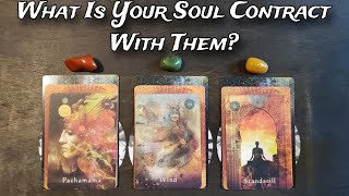 🌟🦋 What Is Your Soul Contract With Them? 🦋🌟🕯Pick A Card Reading