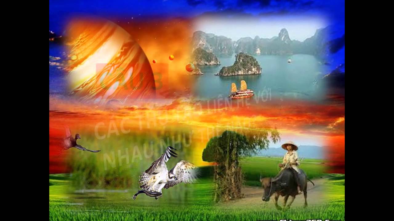 Bài 25: Thế giới hữu hình