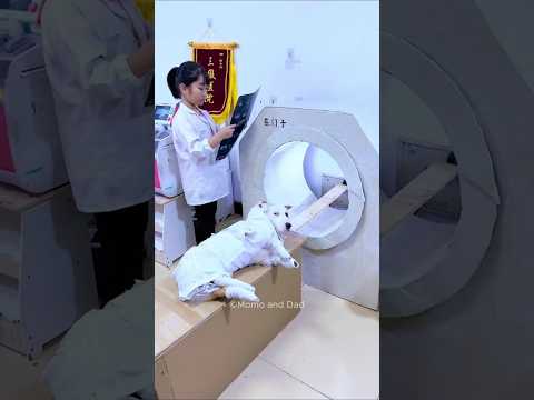 Dog Helps Girl As Patient😍