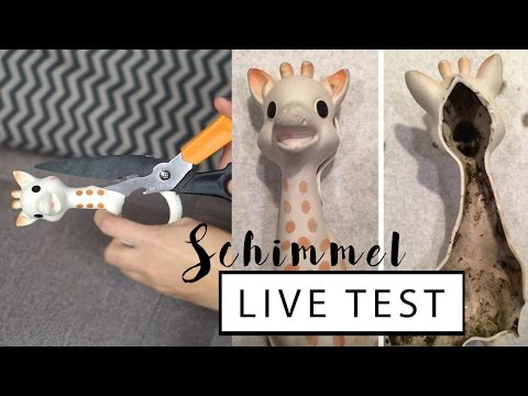 Sophie la Girafe SCHIMMEL LIVE TEST | Eileena Ley