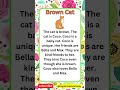 Brown Cat English Reading Practice English Englishpractice
