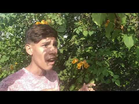 Bohemio vs Äres - Semifinales | Rimas De Elite (Fecha 2) | Cost Rap (Temporada 2021)