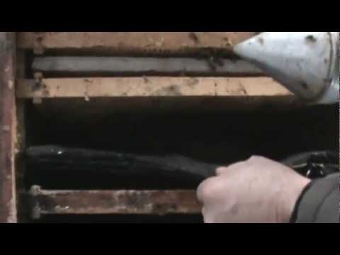 Rama din anticamera isi face treaba - apicultura video pentru toti