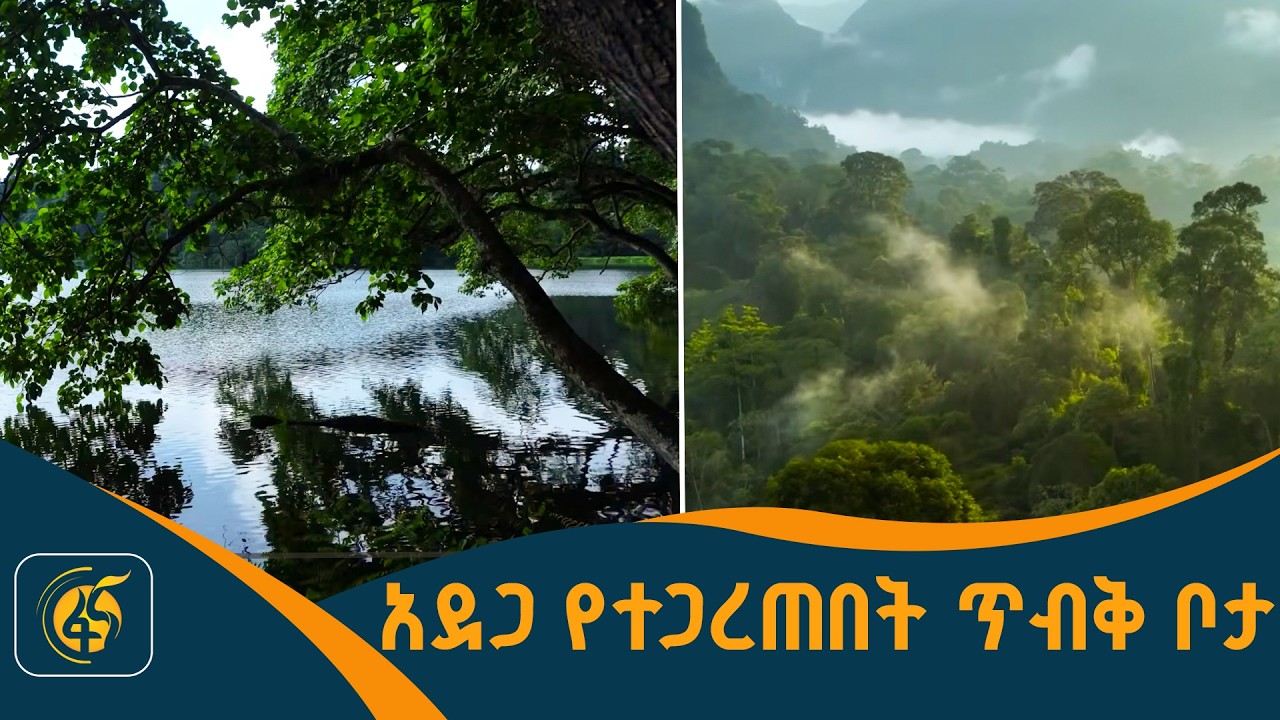 አደጋ የተጋረጠበት ድብቅ ቦታ