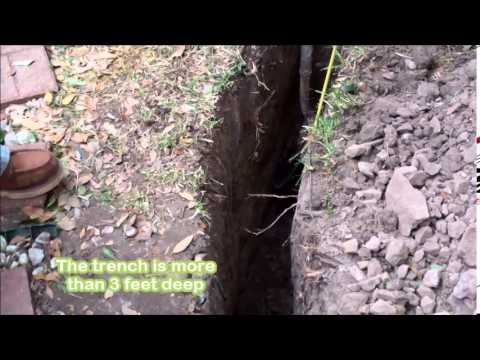 download lagu mp3 mp4 Root Barrier Dallas, download mp3 Root Barrier Dallas free download mp3, download mp3 Root Barrier Dallas