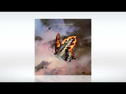 Nils Hoffmann feat. Bailey - I Won't Be Running (Extended Mix) | Track of the Day (04/09/2022)