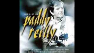 PADDY REILLY - A BUNCH OF THYME ( VINYL 1983 )
