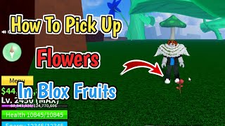 How To Pick Up Flowers In Blox Fruits (2024) | How to Collect Fruits in Blox Fruits