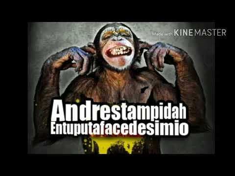ANDRESTAMPIDAH - QUIEREN RAP (Entuputafacedesimio)
