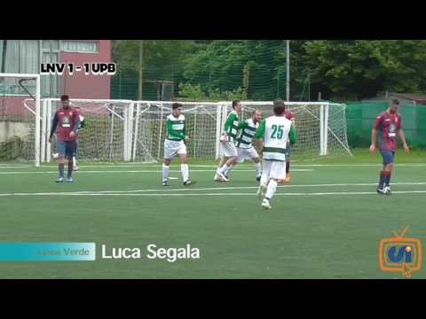 Sintesi Linea Verde - Up Settimo B