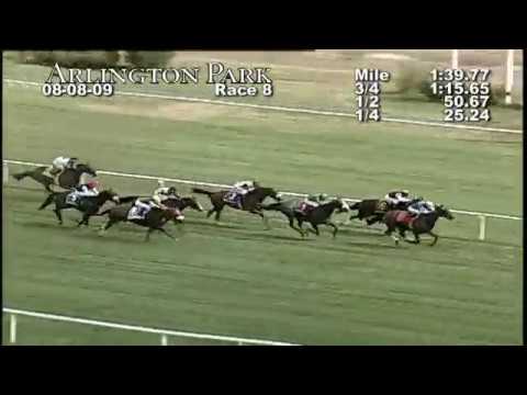 2009 Beverly D Dynaforce