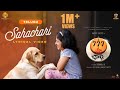 Sahachari Telugu 777 Charlie Rakshit Shetty Kiranraj K Nobin Paul Paramvah Studios