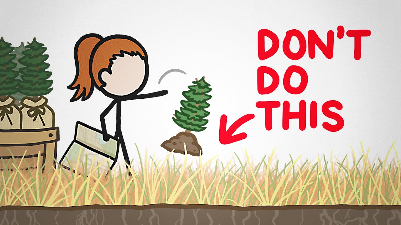 When Tree Planting Goes Wrong