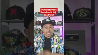 Download lagu Durasi Narkoba Bertahan Di Urin dan Darah mp3