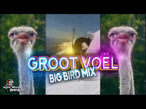 Groot Voël - Big Bird Mix -  Music is Life
