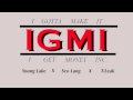 IGMI (YBL) - Madlib Chopstyle