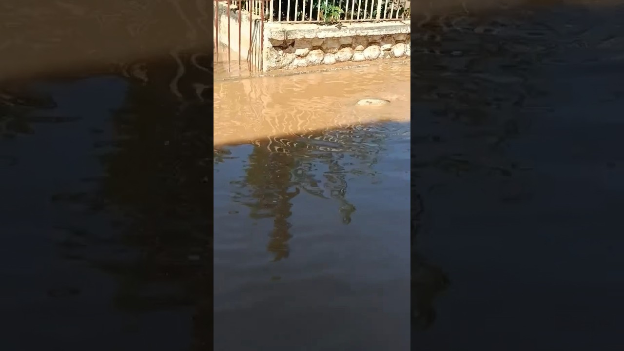 Überschwemmung: 2,5 m lange Schlange in Palama, Fische schwimmen auf Gehwegen