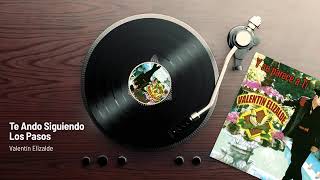 Te ando Siguiendo Los Pasos/ Valentín Elizalde, 2002