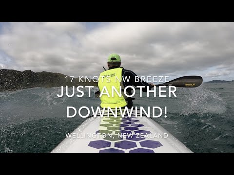 Wellington Downwind, 17 Knots, lovely downwind!