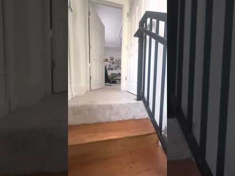 415 E. Grace Street - Video 2 of 2