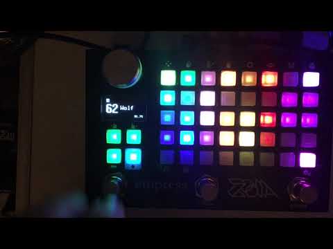 Empress ZOIA patch walk-through:  "Wolf -- a sequenced loop delay"