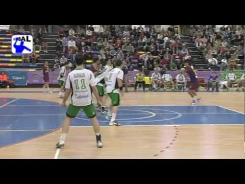 Quabit BM. Guadalajara 30 - F.C. Barcelona Borges 38