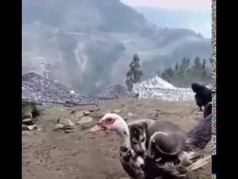 Может, хоть здесь высплюсь!