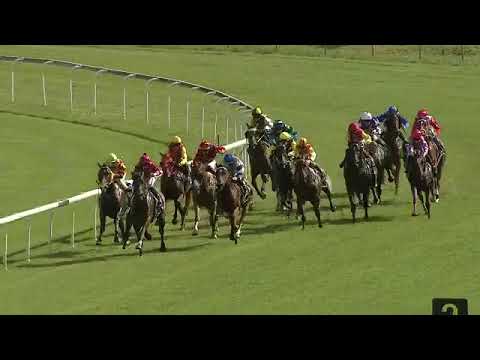 Swamp Nation wins at Taree