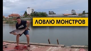 Ловля сомов в тайланде