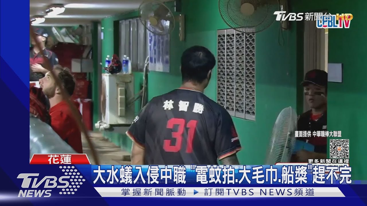 蟲蟲危機!中職球場、道路燈下「大水蟻滿天飛」