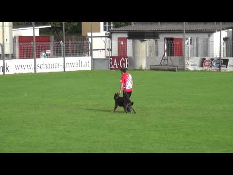 WUSV 2012 Luciano Rodriguez & Brack Protección