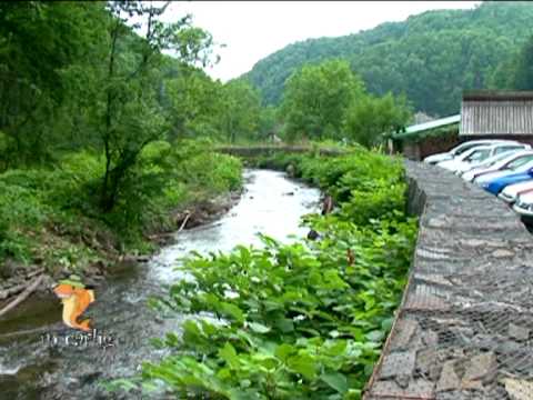 12.Emisiunea din 04.09.2011 "PASTRAVARIA LOSTRITA"