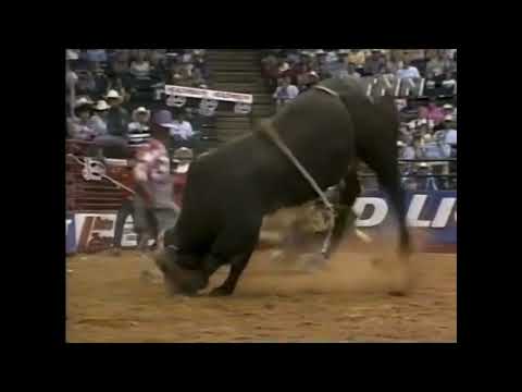 Dillinger bucks Corey Navarre - 00 PBR Houston