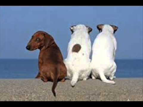Whats He Doing In My World - Eddy Arnold