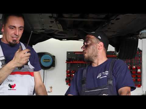 ICH BIN ALBANER - Tigri skandal ne KFZ S-Troi