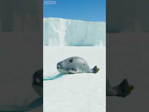 Into the Unknown Hole! #SEALOOK #shorts